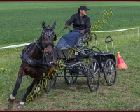 1POSIEUX 0472